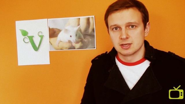 Сколько Вегетарианцев Съедят Мясо за 1000$ - Умное Вегетарианство [# 1] смотреть онлайн