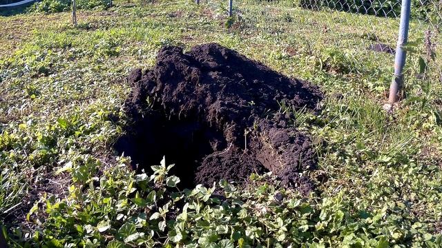 СЛЕПЫШ?! Давай, до свидания! смотреть онлайн