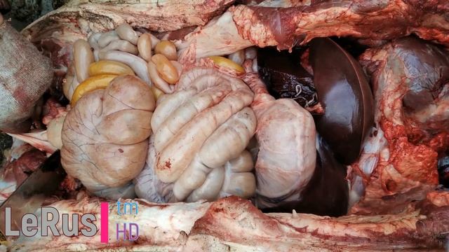 Разделка туши хряка за 30 минут / Правильное извлечение потрохов / Полная версия смотреть онлайн