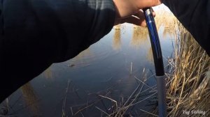 ЛОВЛЯ КАРАСЯ В НОЯБРЕ 2019, РЫБАЛКА НА ПОПЛАВОЧНУЮ УДОЧКУ