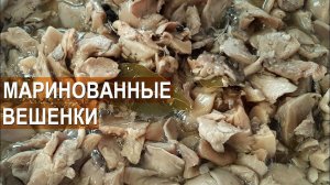 Маринованные вешенки. Солёные вешенки. Как солить и мариновать вешенку