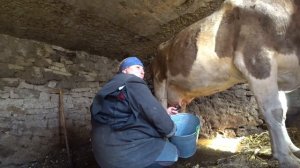 Настоящее ЕВРОПЕЙСКОЕ СЕЛО в УКРАИНЕ!!! КАК ЖИВУТ СЕЛЯНЕ В ВИННИЦКОЙ ОБЛАСТИ?