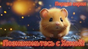 Приключения Хомы. Знакомство. МУЛЬТФИЛЬМ.