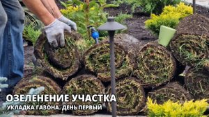 Озеленение участка: укладка газона. День первый