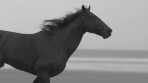 нашид/нашиды без музыки/красивый нашид