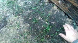 ?Конструкция заваленки для сауны из сруба