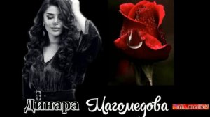 Амрула милиги    Динара Магомедова