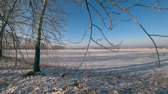 Охота на зайца 2021 Загонная охота на зайца. Много зайцев по первому снегу