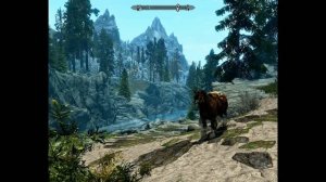 Skyrim ПРОКАЧИВАЕМ СКРЫТНОСТЬ на 100