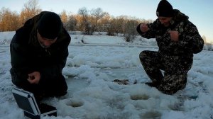 Подводная камера помогла найти рыбу и началась РАЗДАЧА ОКУНЯ. Нужна ли подводная камера на Рыбалке?