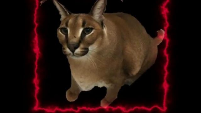 Шлёпа флексит под песню Хорошие пельмени 1 минуту смотреть онлайн