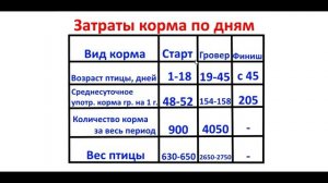 Выращивание бройлеров / Затраты корма на одну голову при выращивании бройлеров