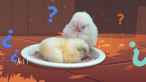 The Chicken Song - ' Chicka -Chicka'' Chicken