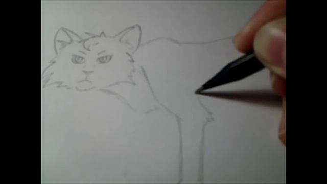 Рисуем Котов Воителей - Остролистая смотреть онлайн