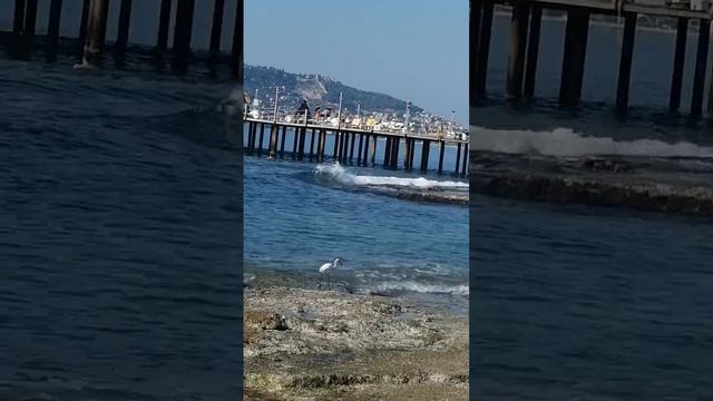 Замечательный день в Алании, Турция.           ...... #море #турция #мир #природа #красотаспасетмир