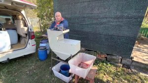 Урожай 2022 и дробилка для винограда с гребнеотделителем Лоза образца 2022г