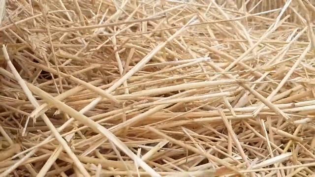 Шорох сена. Шуршание соломы