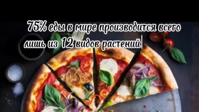 Интересный факт о еде!