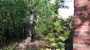 Пансионат Михнево 4 часть -  вход в  музей лагеря "Дружба" ( за столовой )