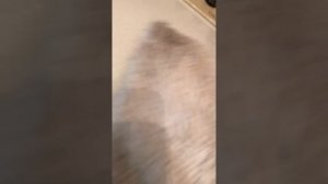 Чистим пуховик от жирных пятен