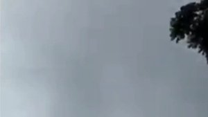 топ 5 драконов снятых на камеру драконы Dragons