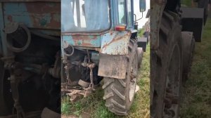 Трактор Мтз 82 1991 год выпуска экспресс-обзор от Дениса Пудан