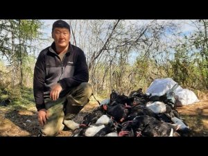 ОХОТА НА УТОК ВЕСНОЙ КАК ОНА ЕСТЬ НА СЕВЕРЕ.