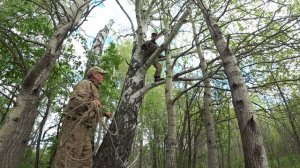 КАК ПОЙМАТЬ БРОДЯЧИЙ РОЙ, СЕКРЕТЫ СТАРОГО РОЕЛОВА, УЛОВИСТЫЕ МЕСТА