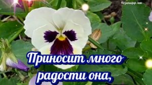 ?С Первым Днём Весны! Пусть эта весна принесёт для Вас много улыбок,тепла и добра! 1 марта. ?