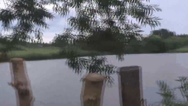 Лагерный пруд. Потеряевка. август, 2016 смотреть онлайн