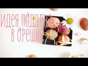 Идея для подарка в грецком орехе [Идеи для жизни]