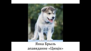 Янка Брыль "Цюцік"