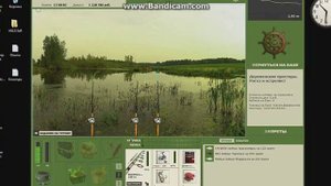 Турнир Золотой ключик в РР3.6