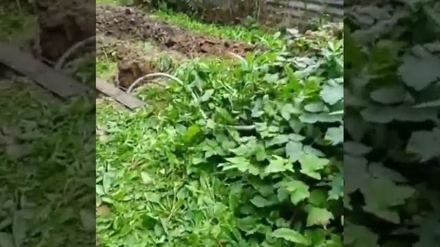 Одинцовский район. Кольцевой дренаж дома
