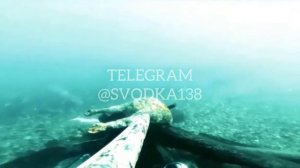 Нашли труп во время подводной охоты