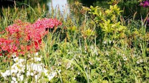 Жены Пророка ﷺ. Аиша (РА) - Мать правоверных.