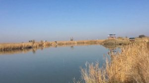 Турнир «Зубастый хищник 2019», турнир по ловле судака на спиннинг в г. Алматы, озеро Ворошиловское