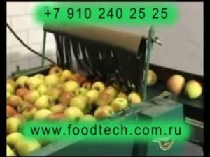Сортировка яблок  малогабаритная сортировка круглых плодов и фруктов