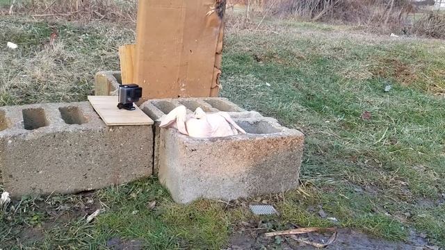 .17 HMR vs CHICKEN Ammo Test Meat Review Savage 93 смотреть онлайн