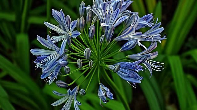 Слушать лучшую русскую музыку и фото - класс! смотреть онлайн