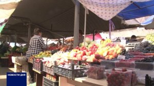 В ОРЕНБУРГЕ ЦЕНЫ НА ЯБЛОКИ ОСТАЛИСЬ НА УРОВНЕ ПРОШЛОГО ГОДА, НО МОГУТ ИЗМЕНИТЬСЯ