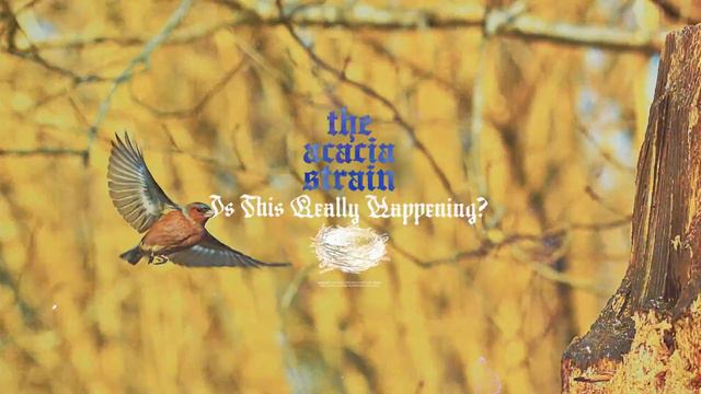 The Acacia Strain - IS THIS REALLY HAPPENING? (Visualizer) смотреть онлайн