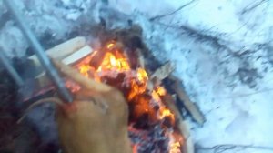 Поросенок на 40 кг на вертеле