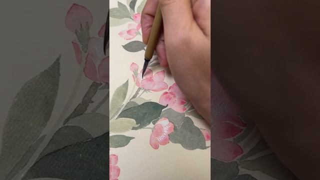 Begonia flowers Chinese Painting TikTok смотреть онлайн