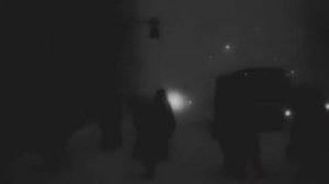 Гражданская оборона   Лес