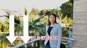 Виза в Турцию, ВНЖ и турецкое гражданство