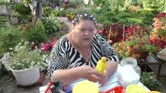 удобрения для цветов в саду. часть 1