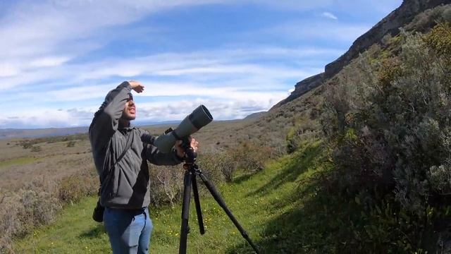 [S2 - Eps. 24] Visiting Pigeon Mountain. Wait, WHAT?! смотреть онлайн