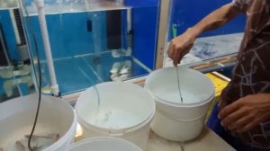 Посылка от Горюшкина Сергея Ивановича.