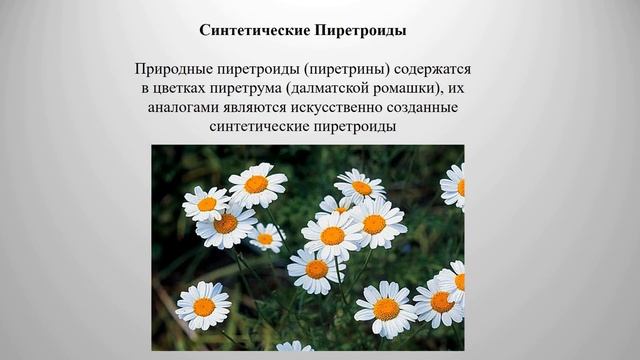 Лекция Токсикология Пестициды